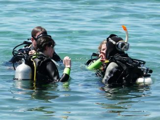 Learn how to scuba dive in Koh Tao